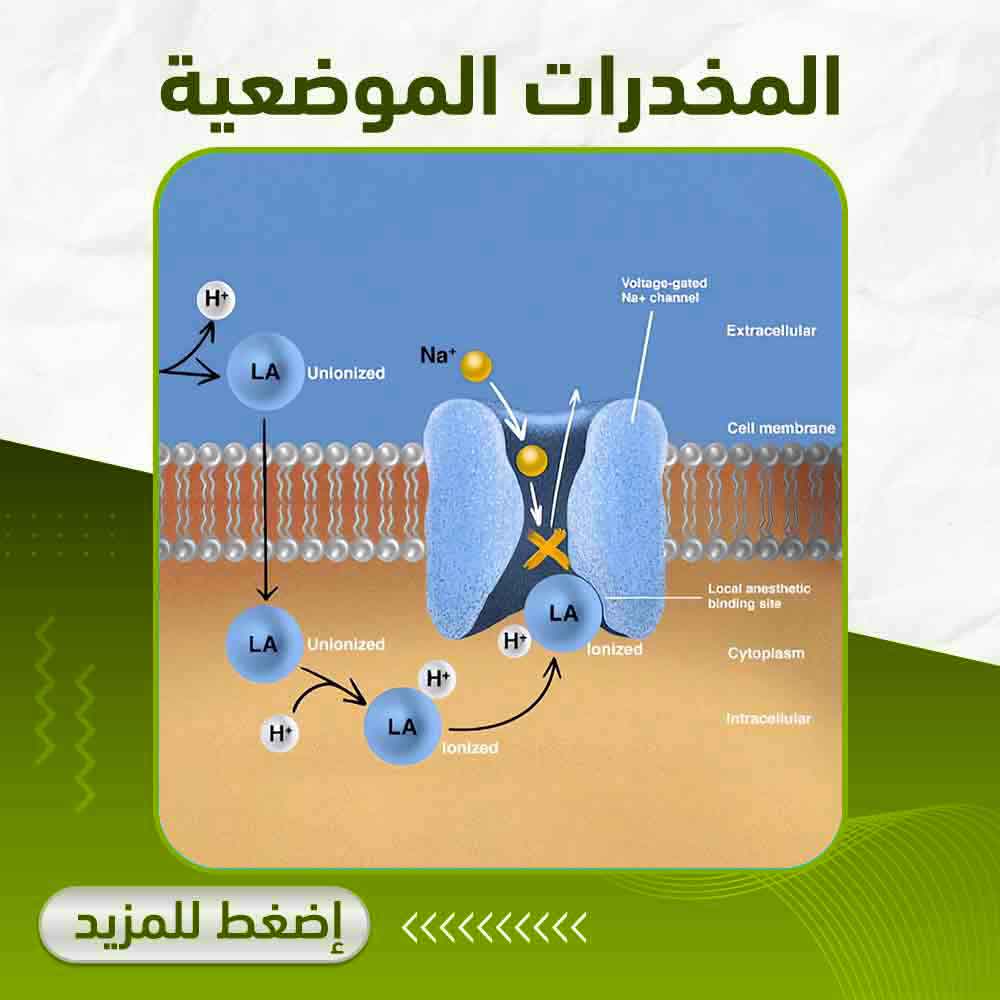 المخدرات الموضعية - صيدلية أبوتيك بلس