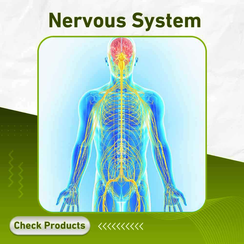 nervous system - Apotek Plus Pharmacy