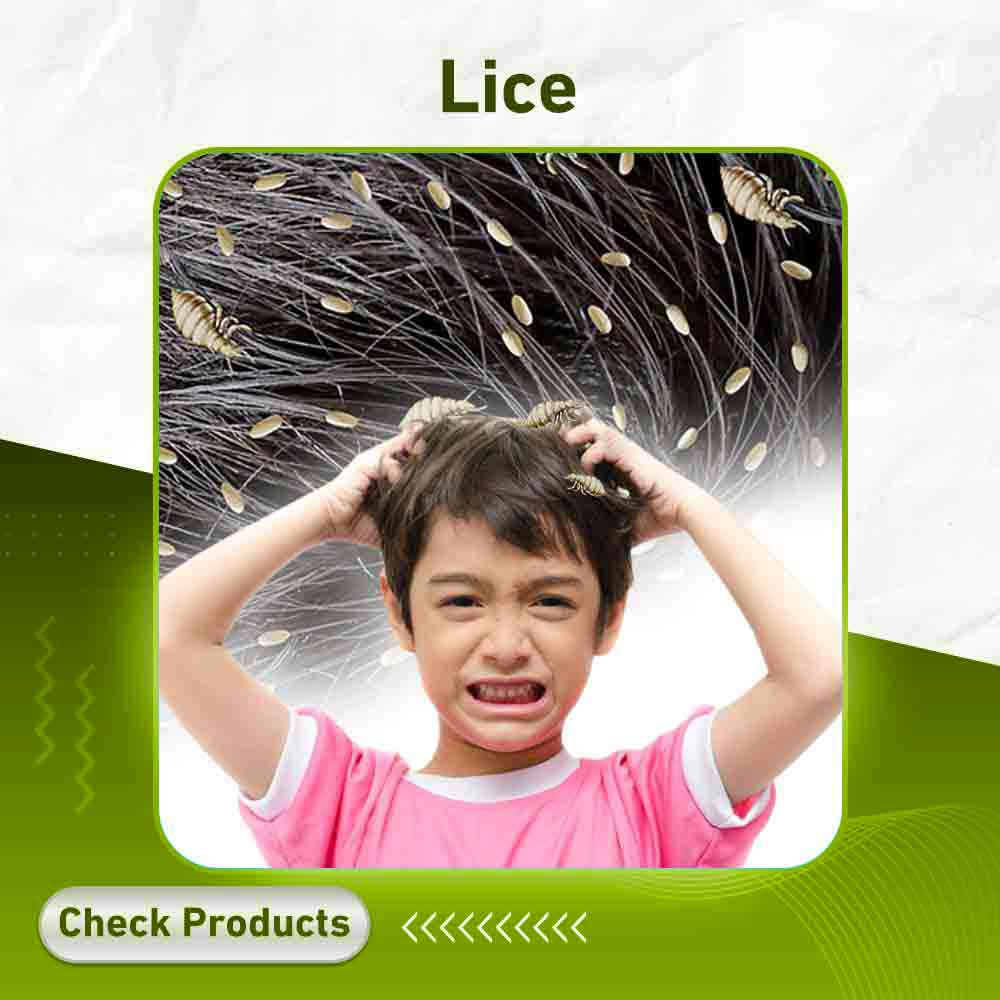 lice - Apotek Plus Pharmacy