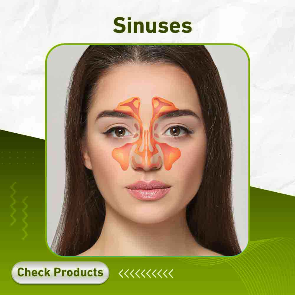 sinuses - Apotek Plus Pharmacy