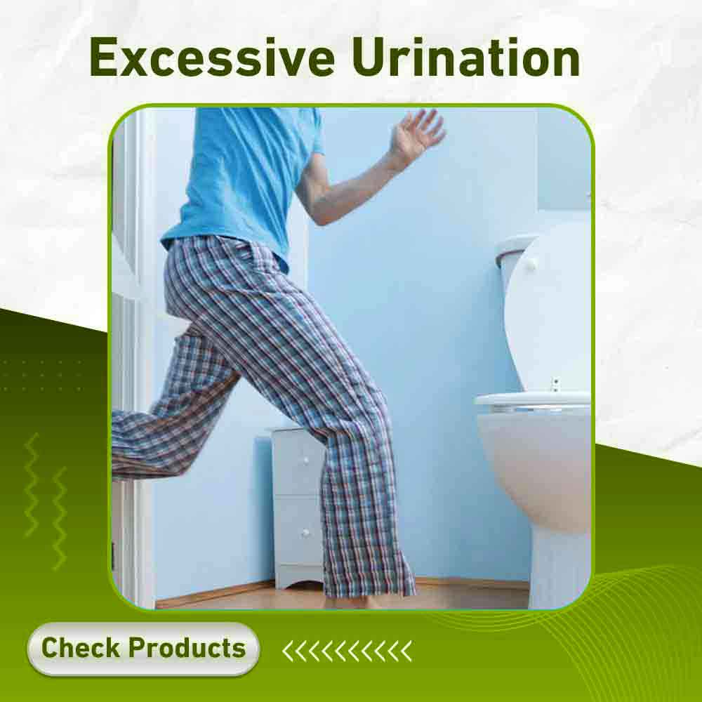 Excessive Urination - Apotek Plus Pharmacy